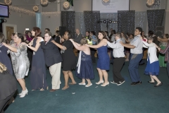 DSC_1655 DSC_1655