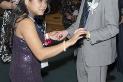 DSC_1734 DSC_1734