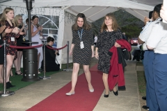 DSC_1371 DSC_1371